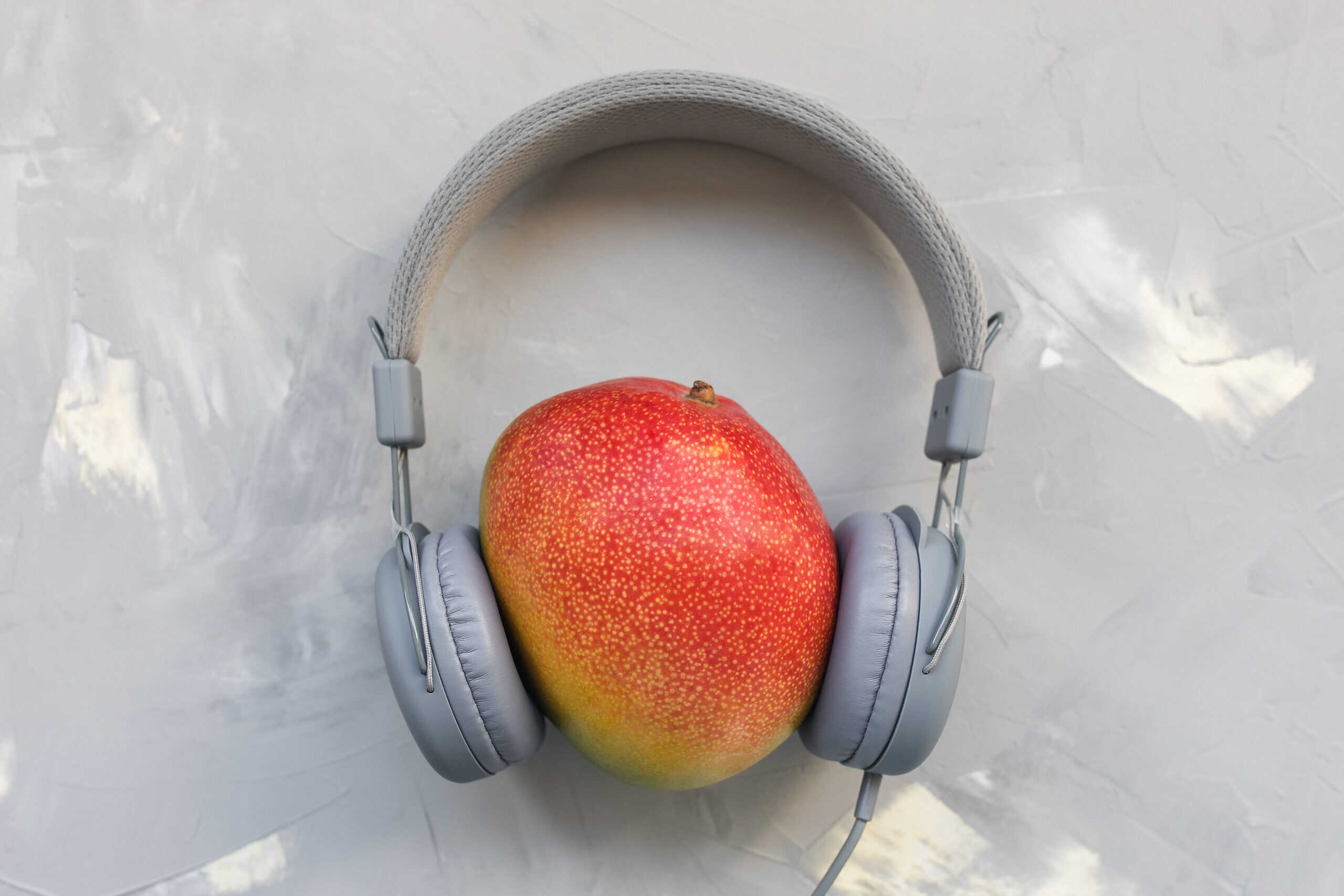 A deliciously ripe, red and yellow mango resting in between a a pair of gray headphones like a person's head would.