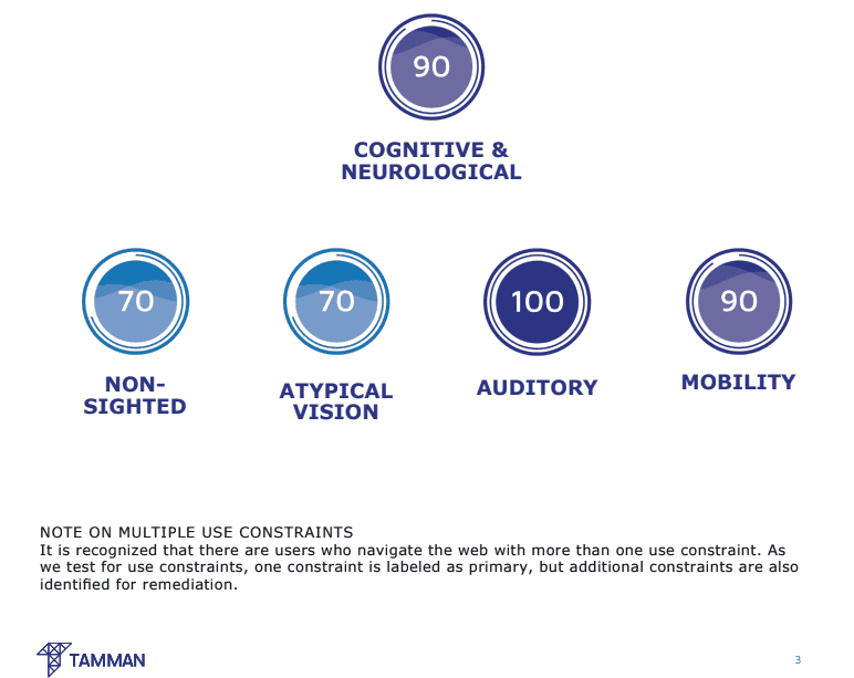 Screenshot from sample report outlining use constraint ratings or scores from accessibility assessment